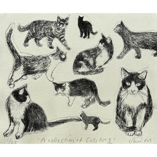 Collection of Cats No 1