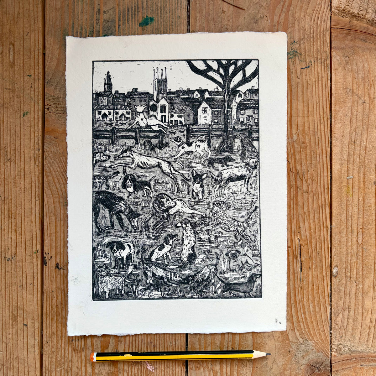 Dog Park with aquatint ( tone )