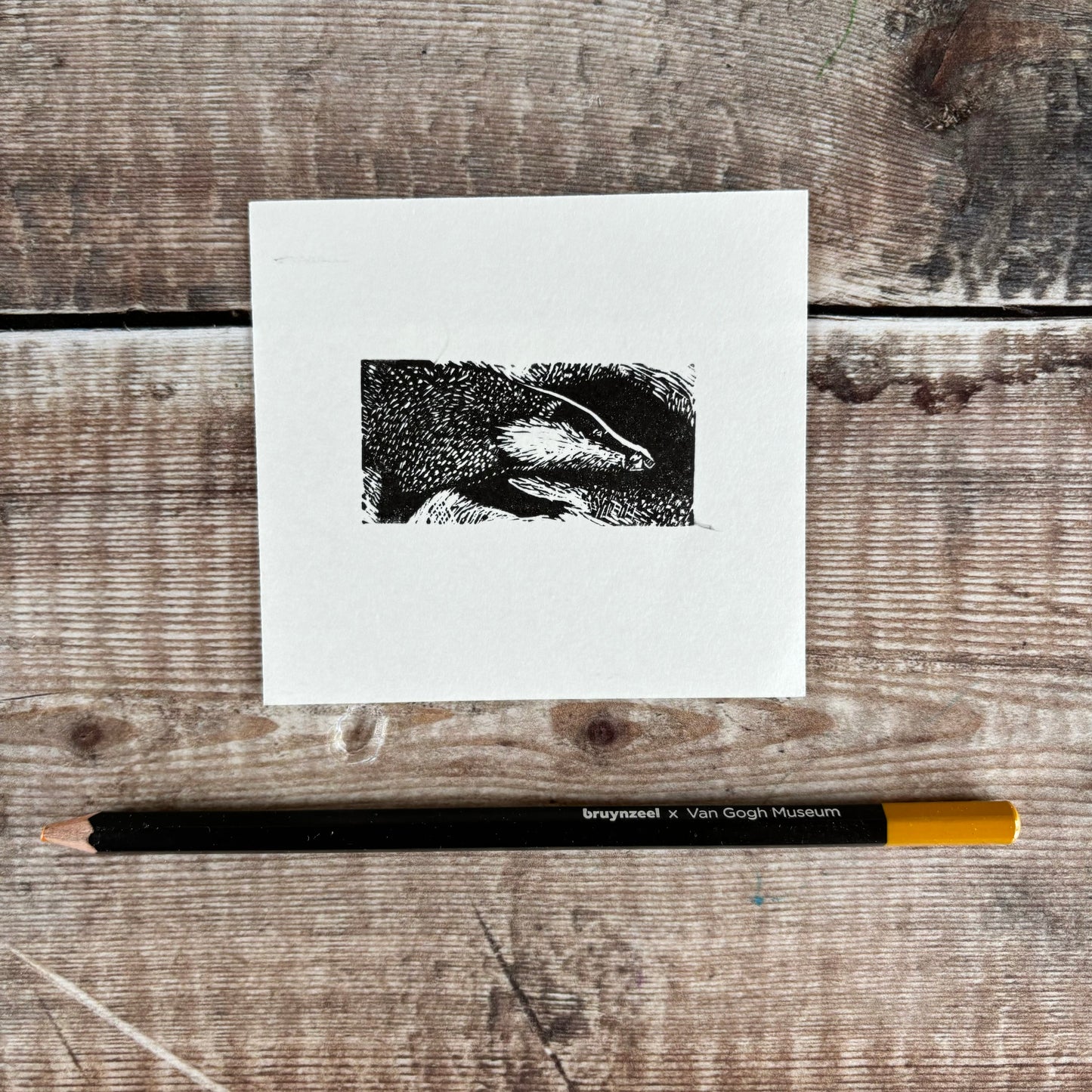 Badger - wood engraving