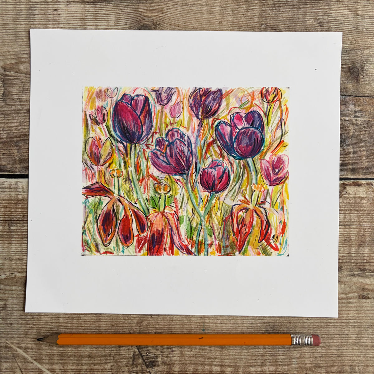 Tulips