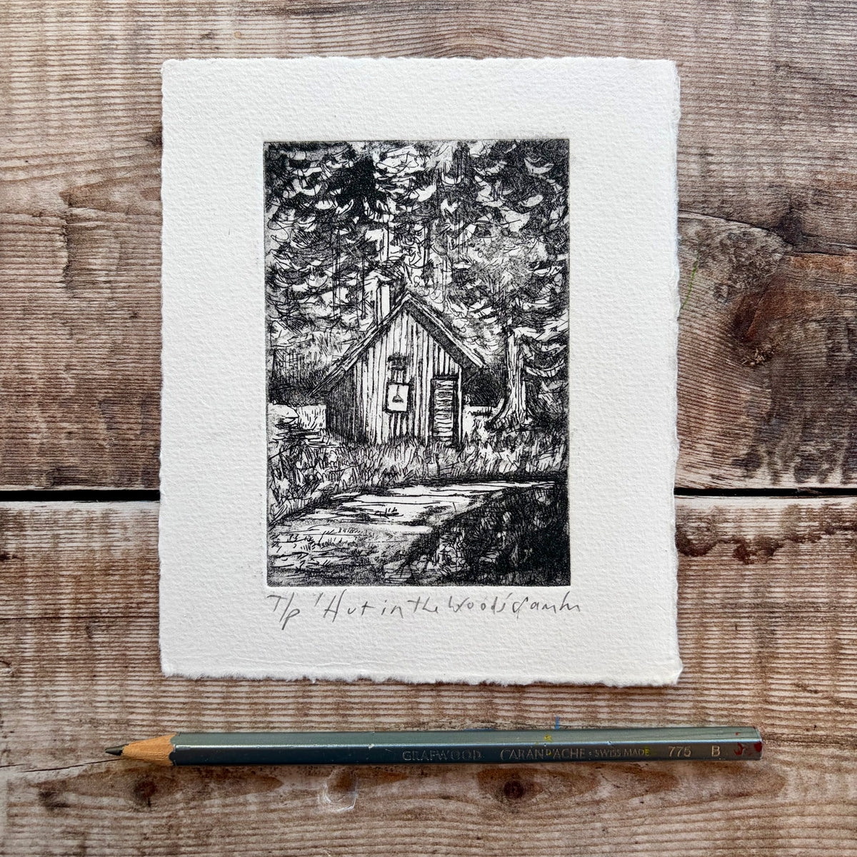 Hut in the woods