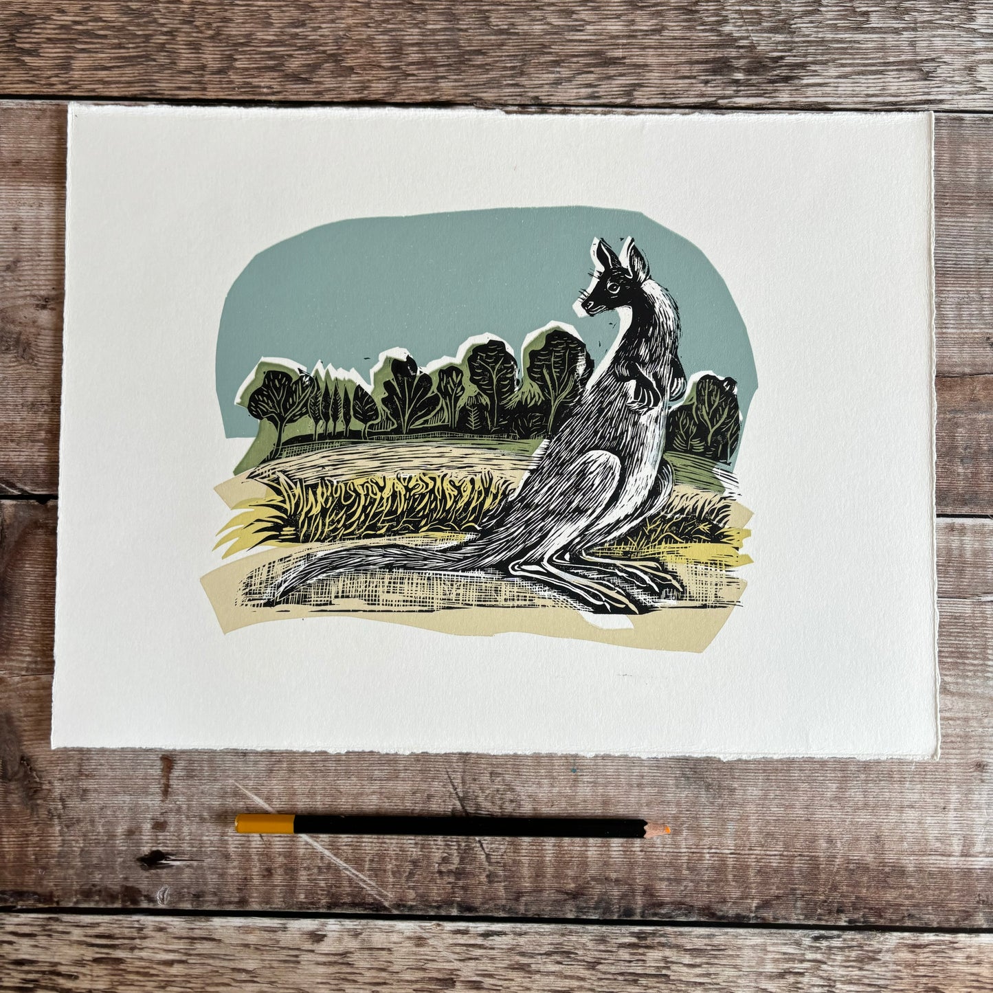 Kangaroo