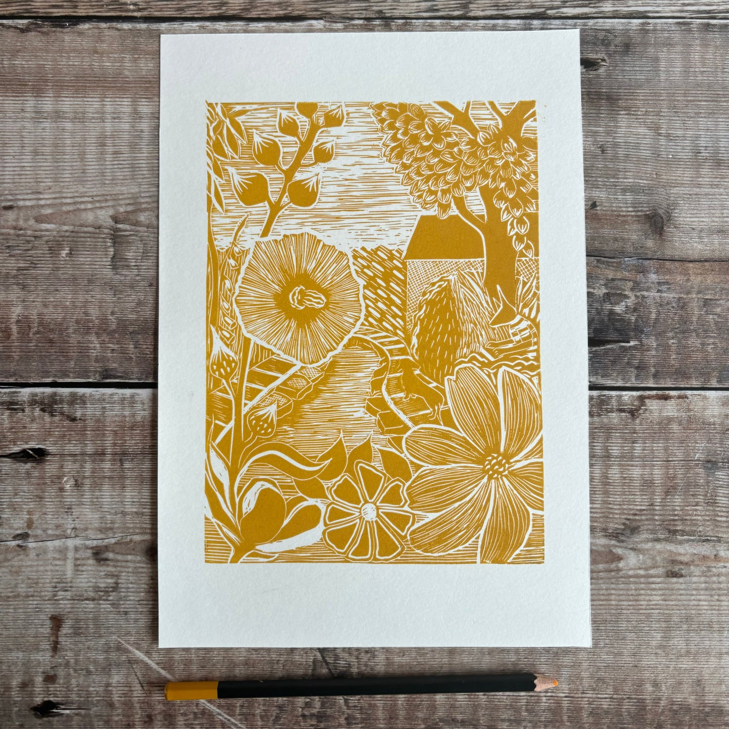 July at Holly Tree cottage