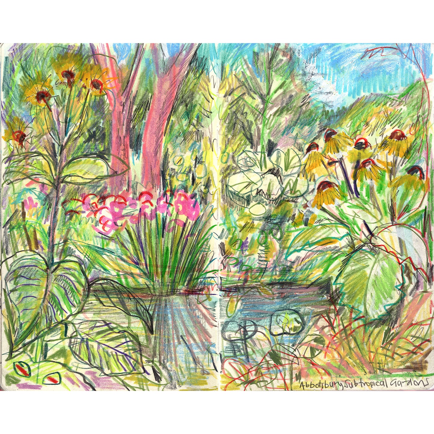 Abbotsbury gardens 2