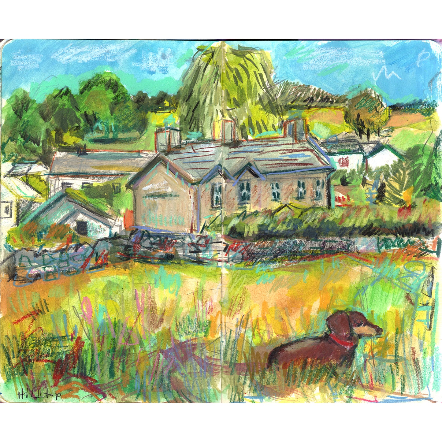 Hill top - outside Beatrix Potter's hourse