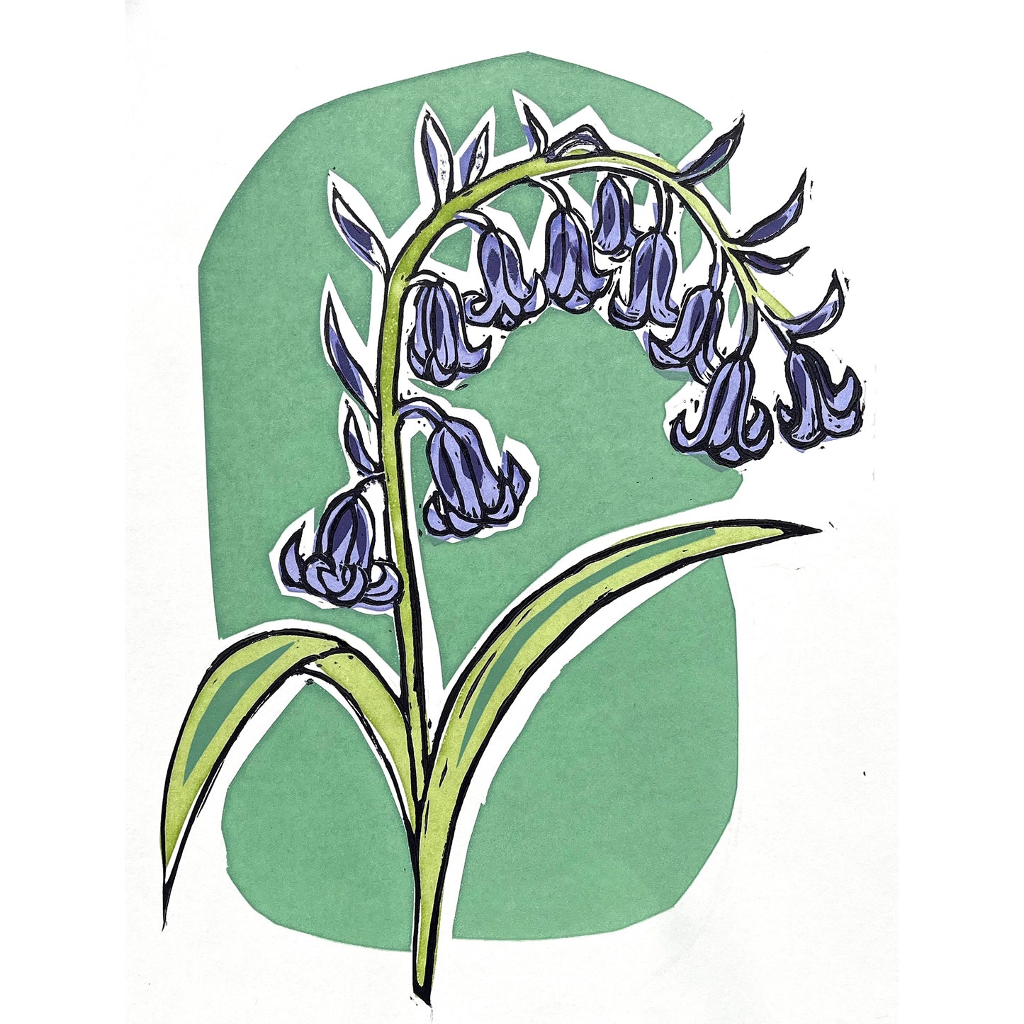 Bluebells
