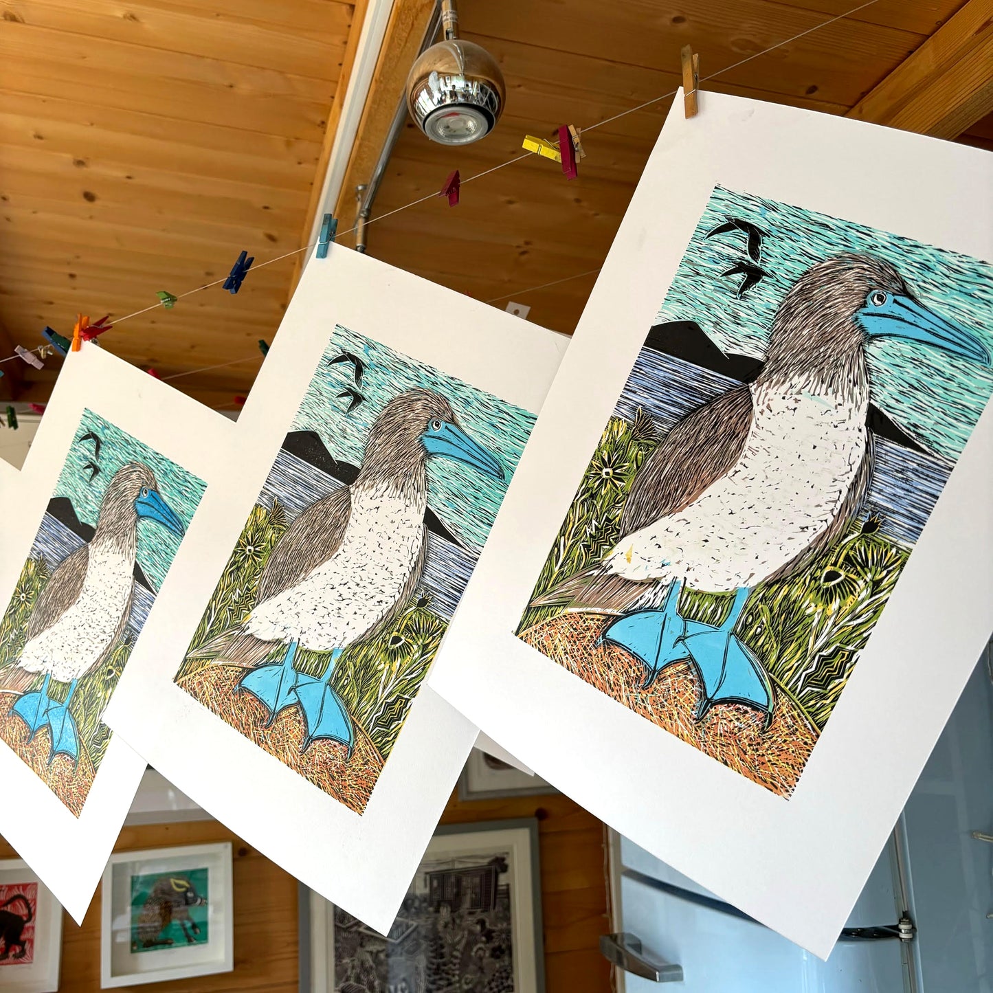 Blue Footed Booby