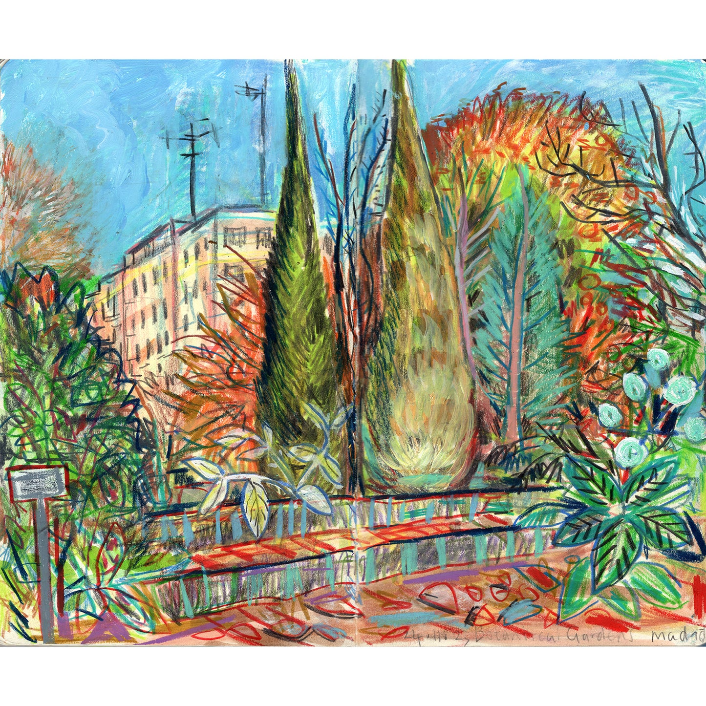 Cypress trees in the Botanical Gardens