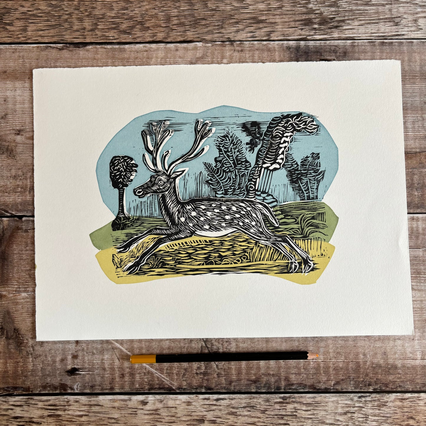 Deer