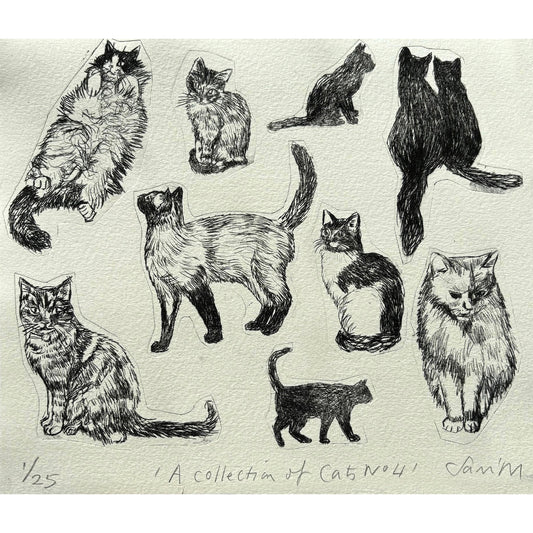 Collection of Cats no 4