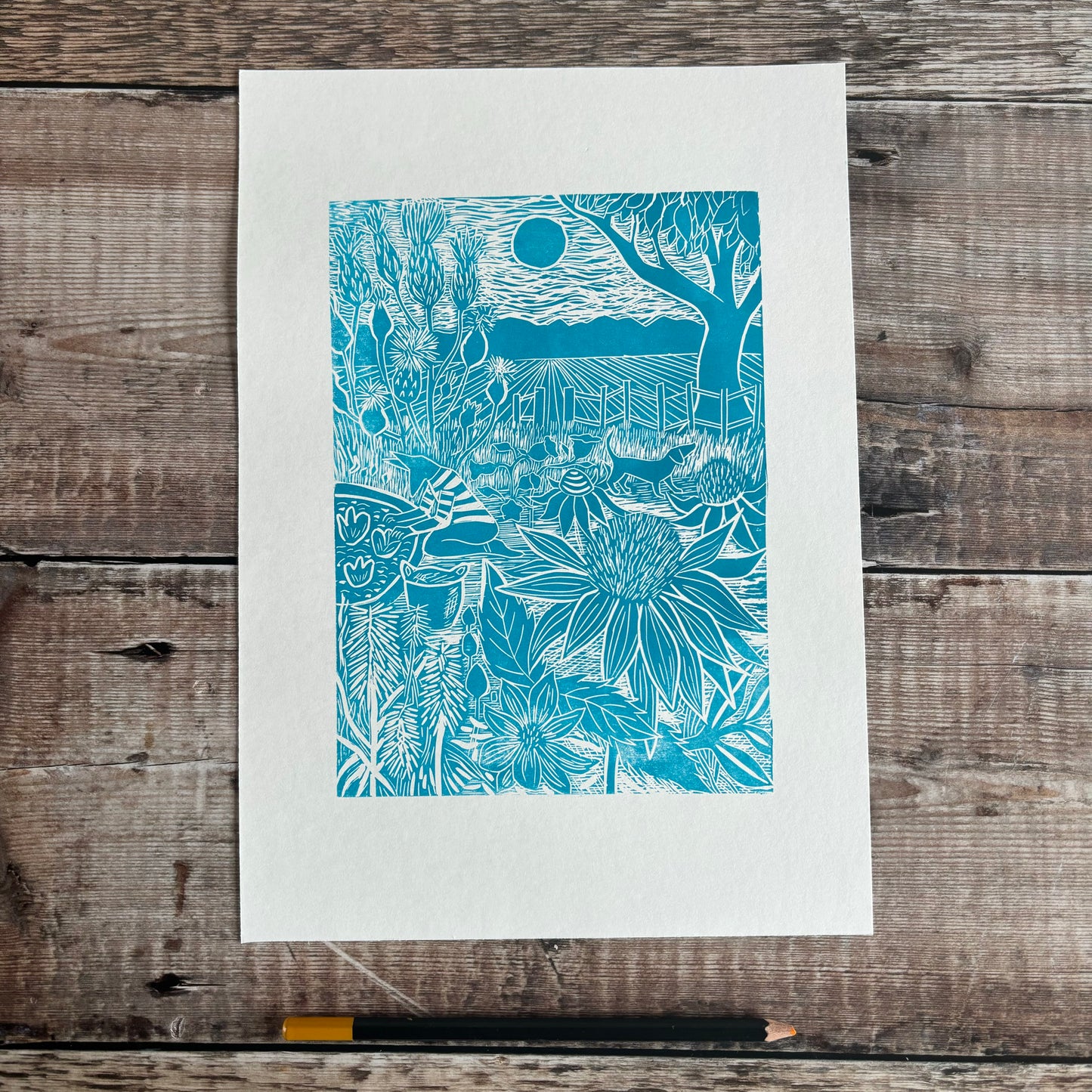 August at Holly Tree Cottage