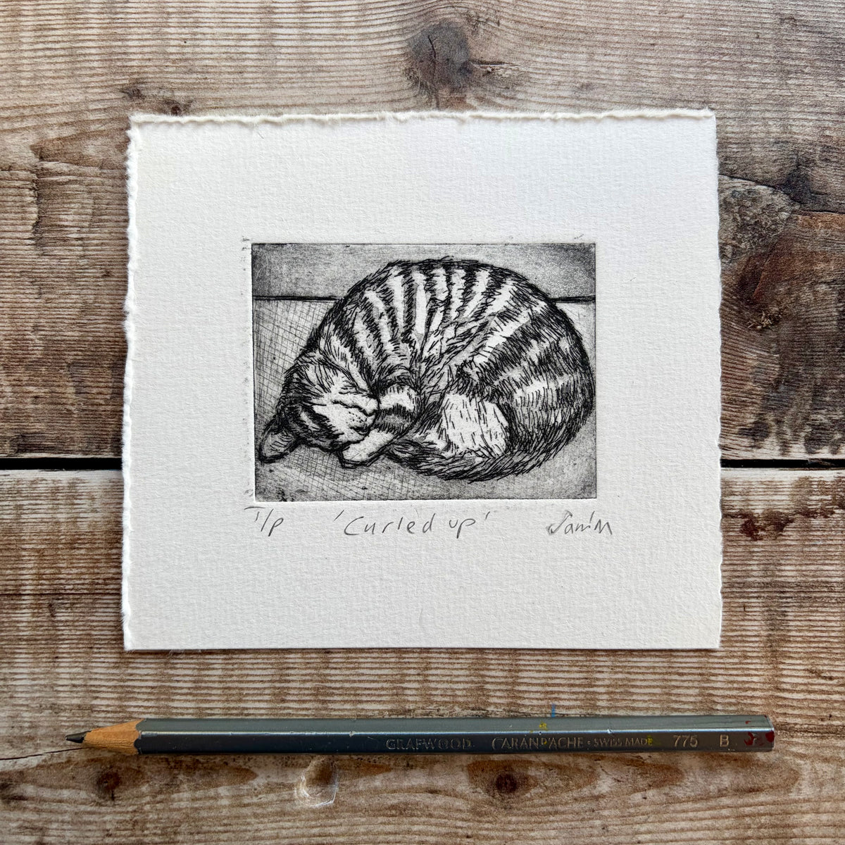 Curled up