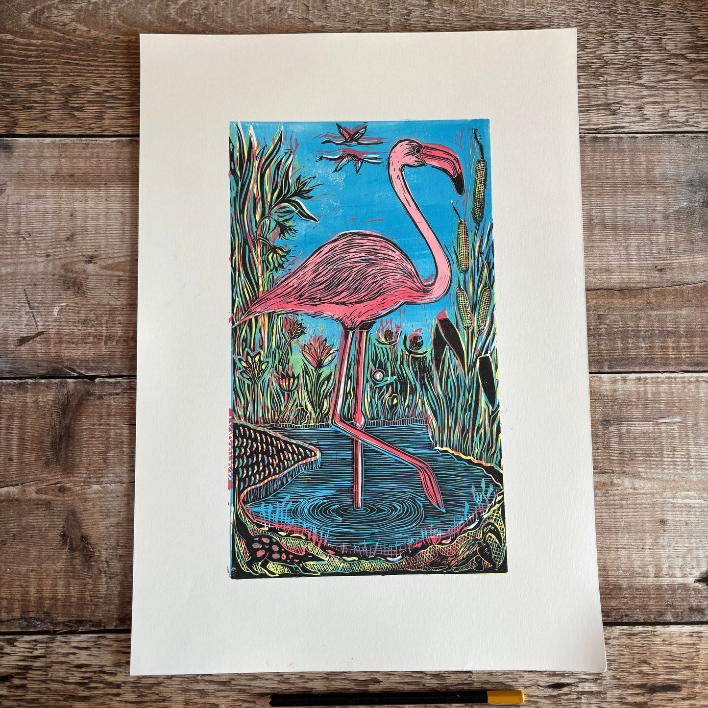 Flamingo