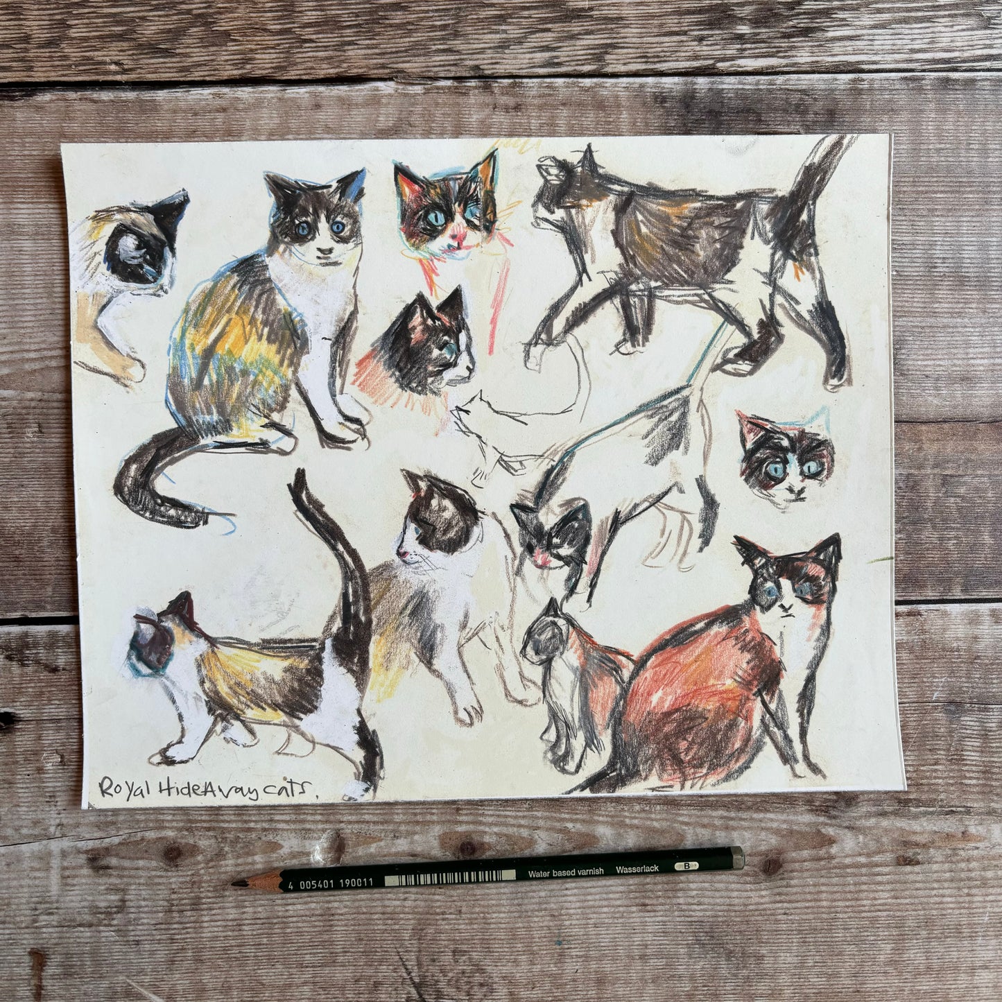Tom cat drawing
