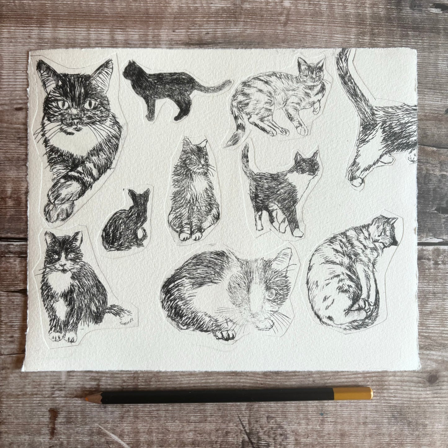 Collection of cats - test print 4