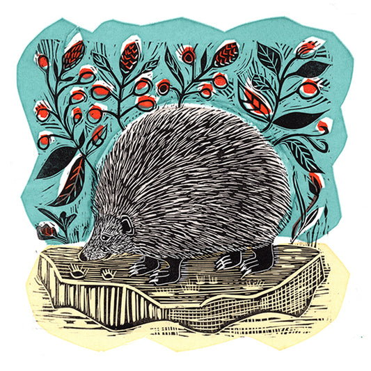 Hedgehog
