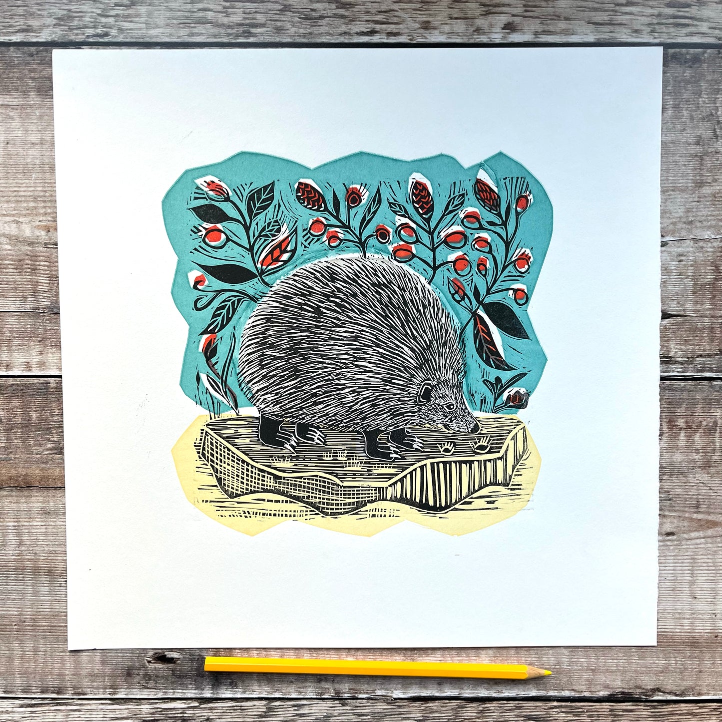 Hedgehog