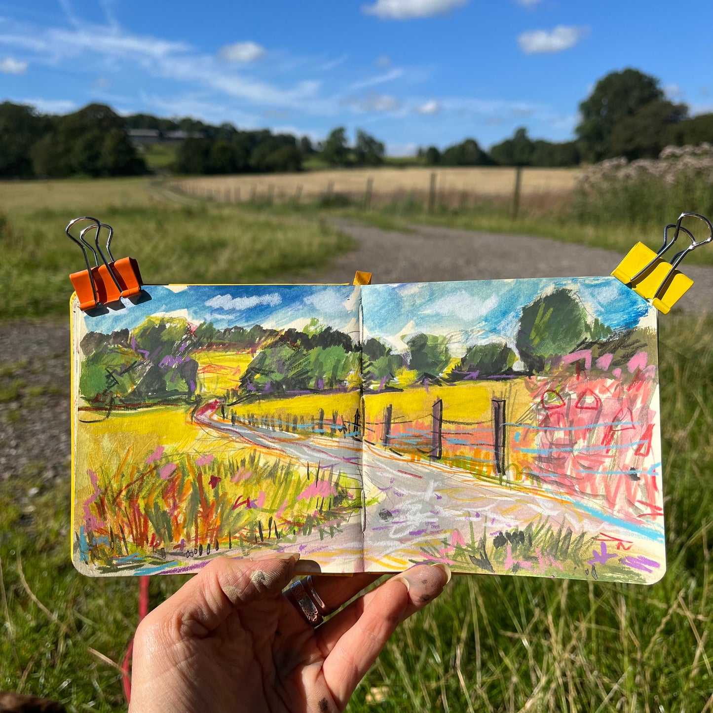 Sizergh Castle Gardens - meadow