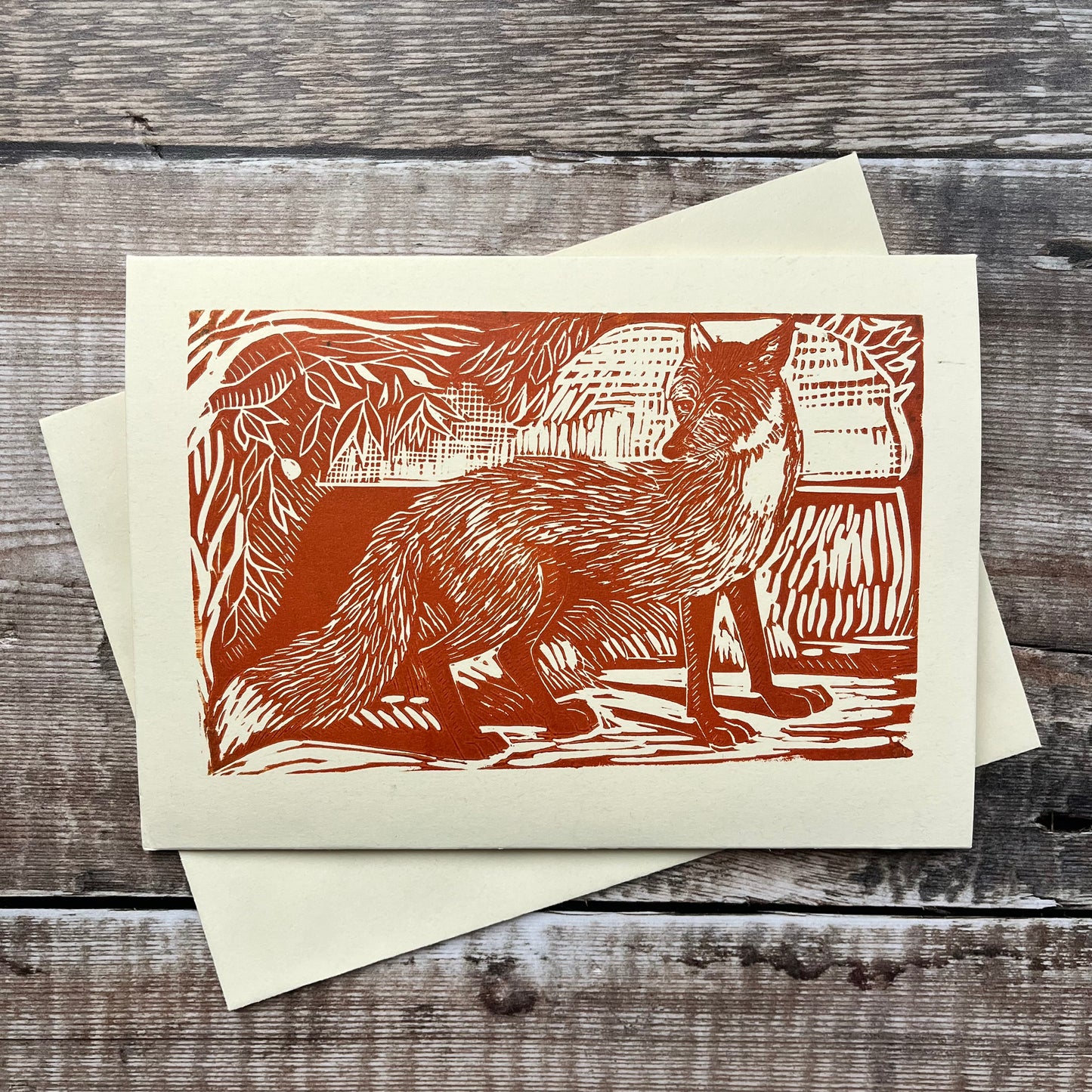 Fox