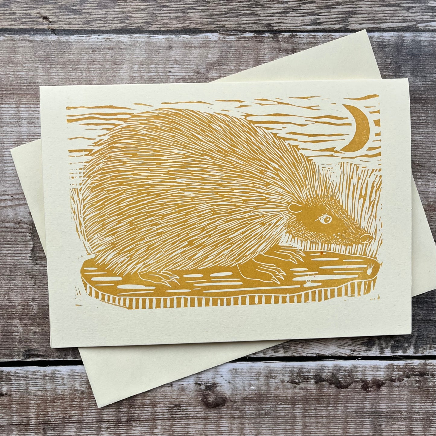 Hedgehog