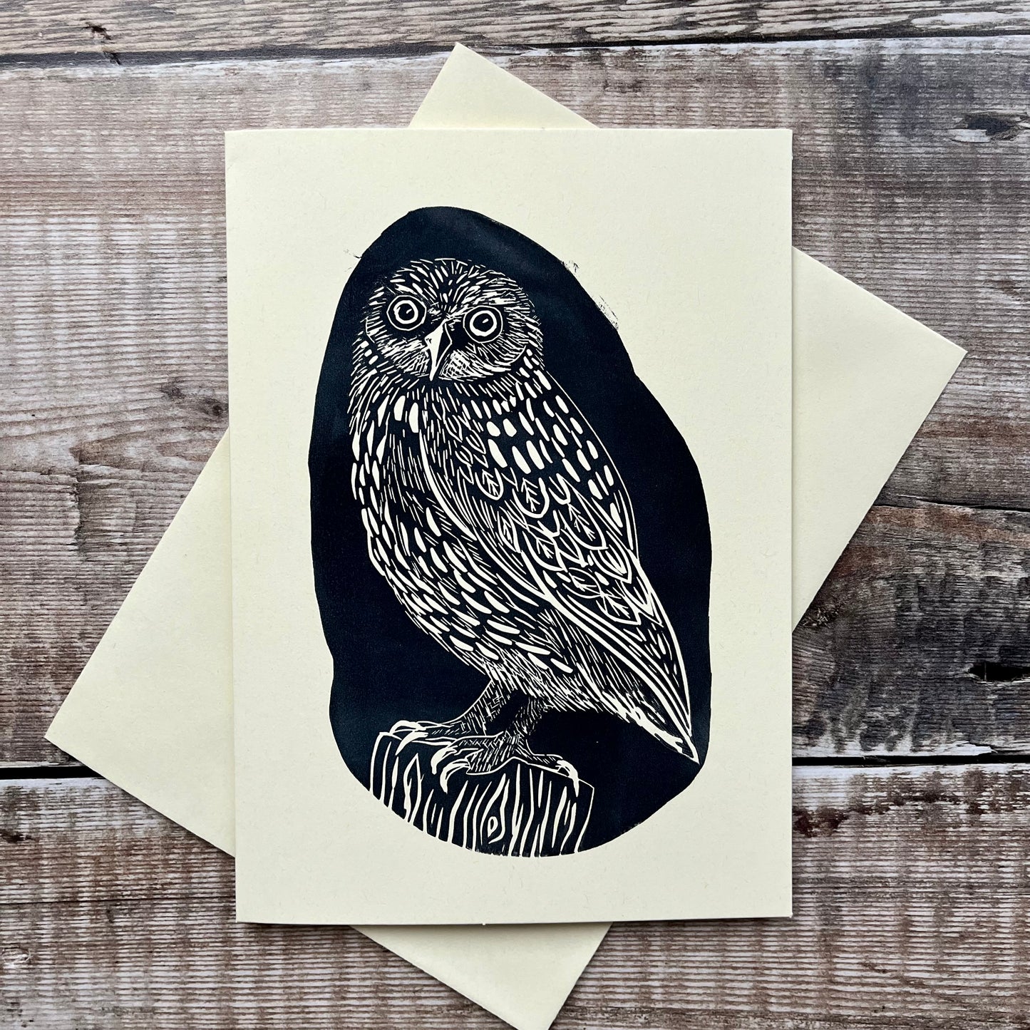 Owl