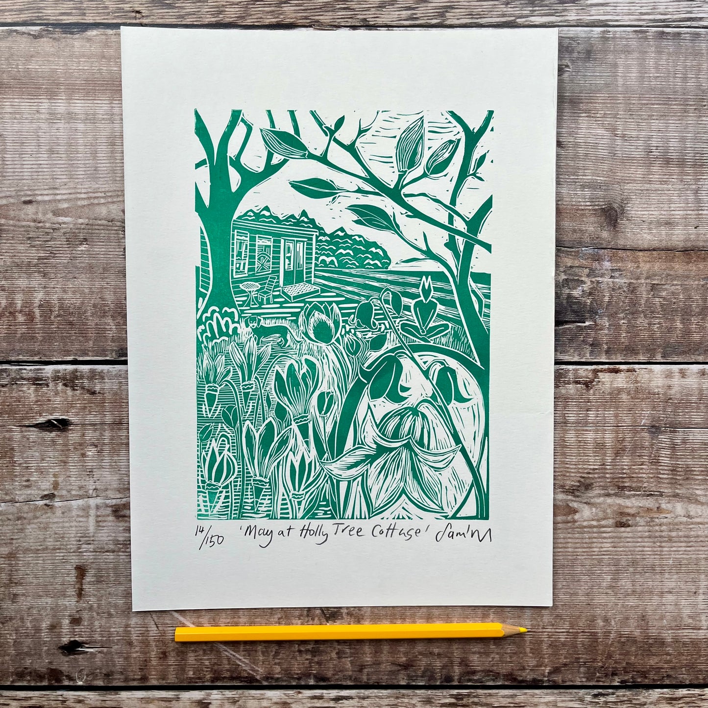 May at Holly Tree Cottage