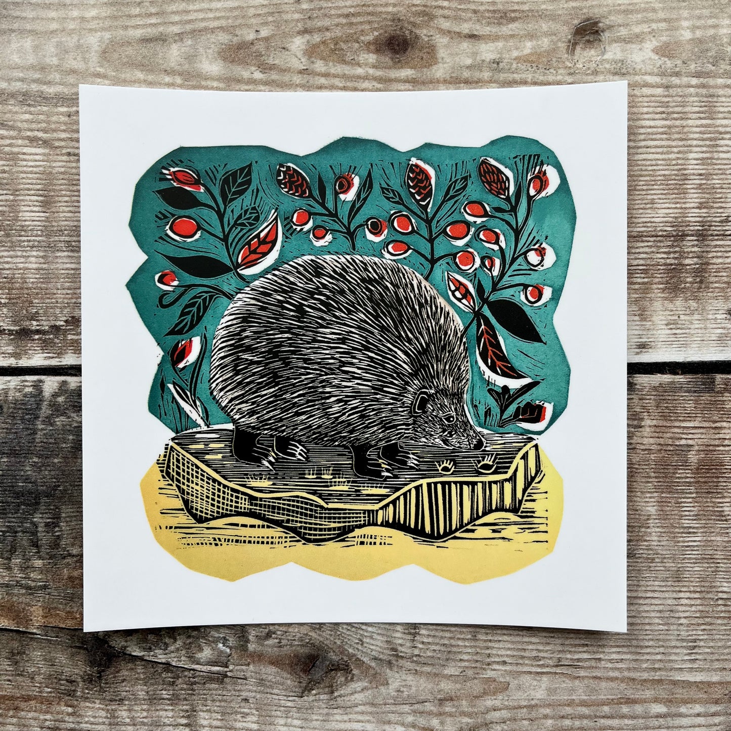 Hedgehog