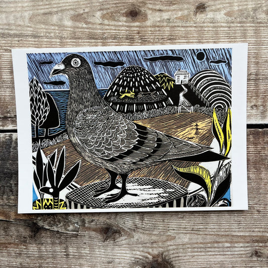 Pigeon