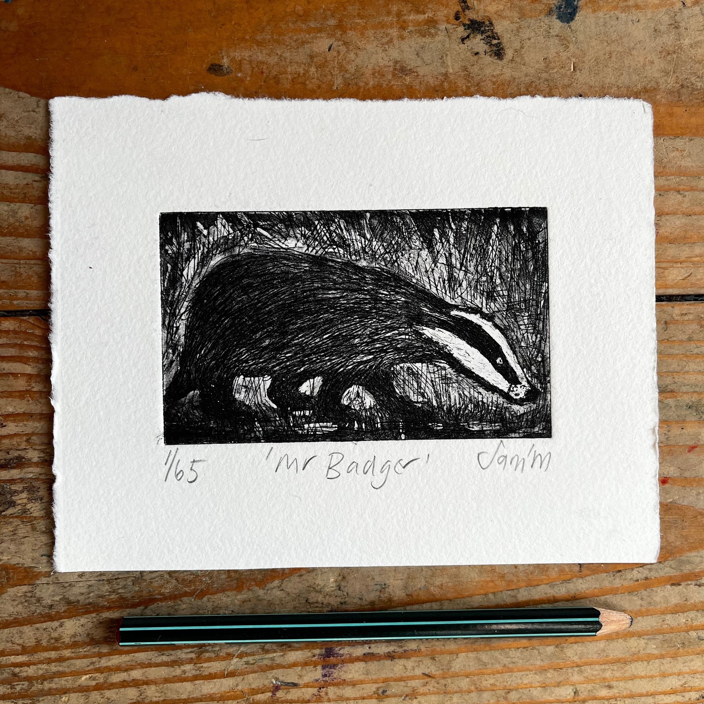 Mr Badger