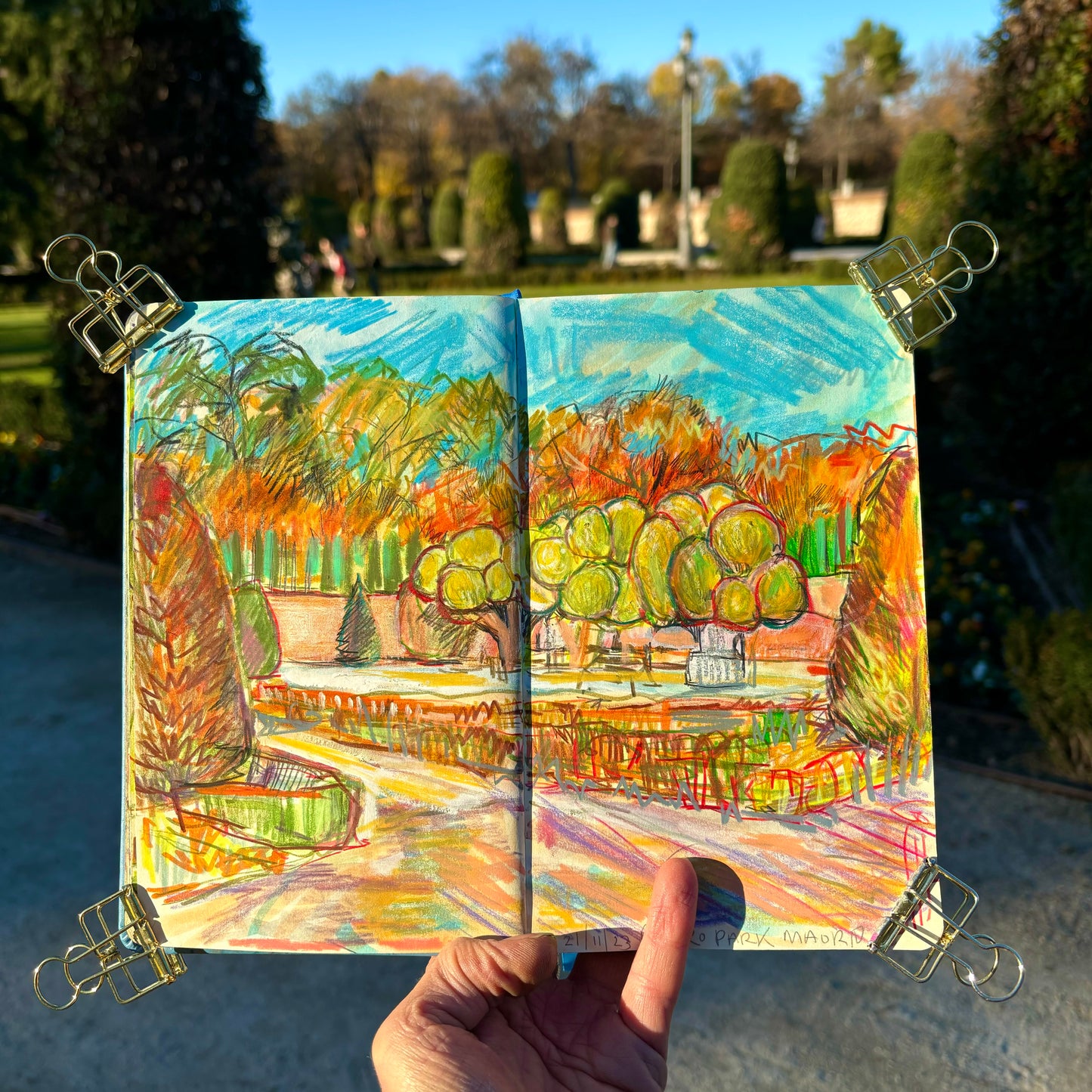 Topiary trees in Retiro park