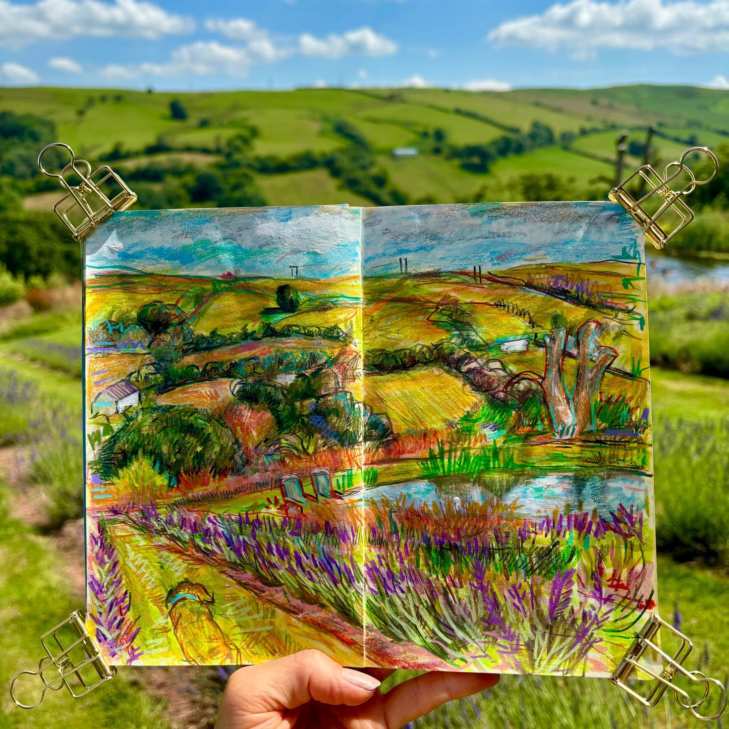 Welsh Lavender Farm
