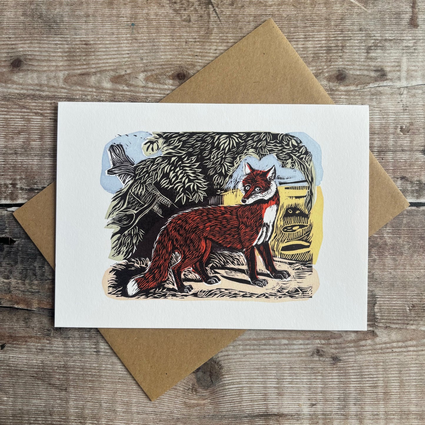 Red Fox