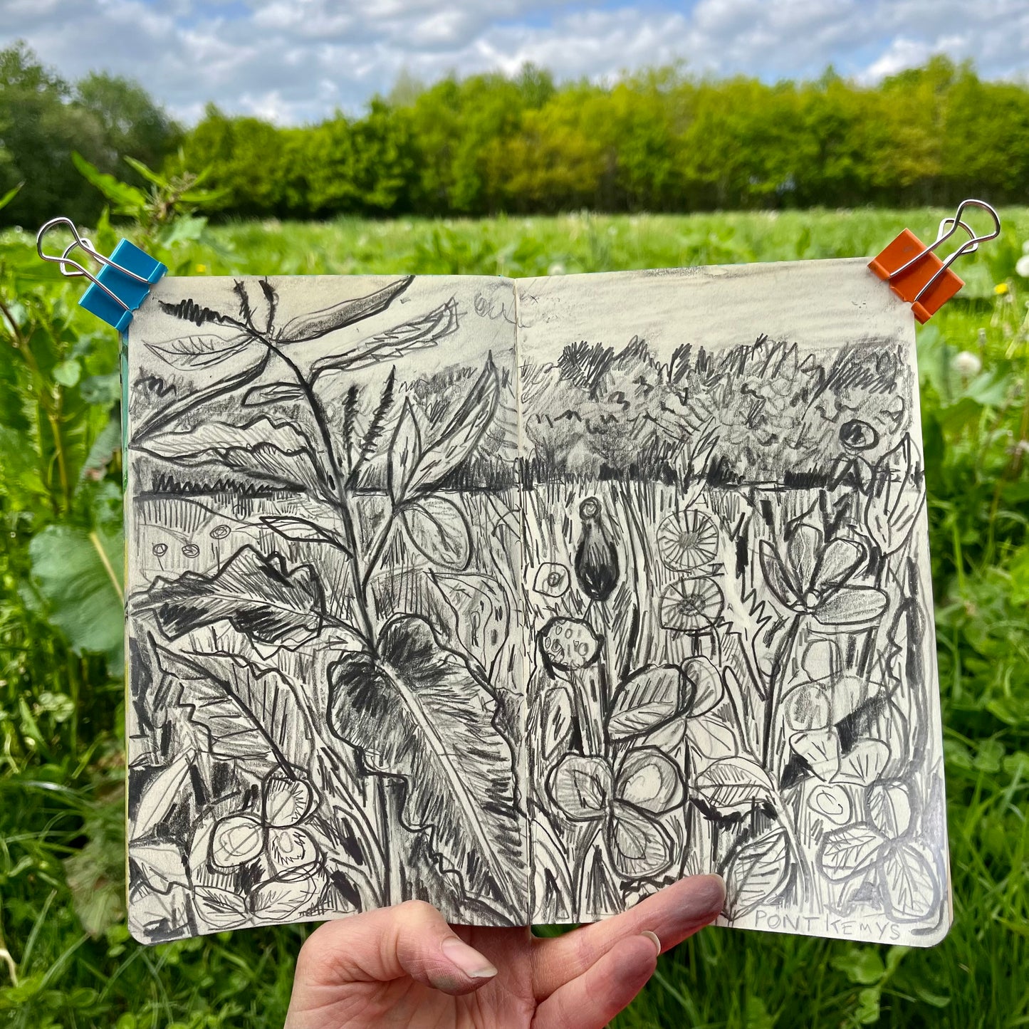 Meadow in Pont Kemys , Wales - pencll