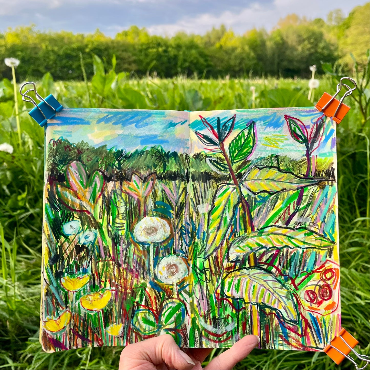 Meadow in Pont Kemys , Wales - colour