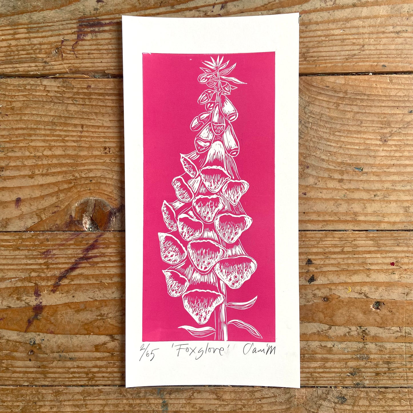 Foxglove
