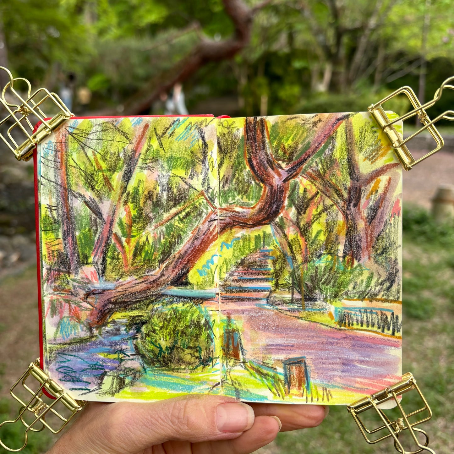 Maruyama park, Kyoto
