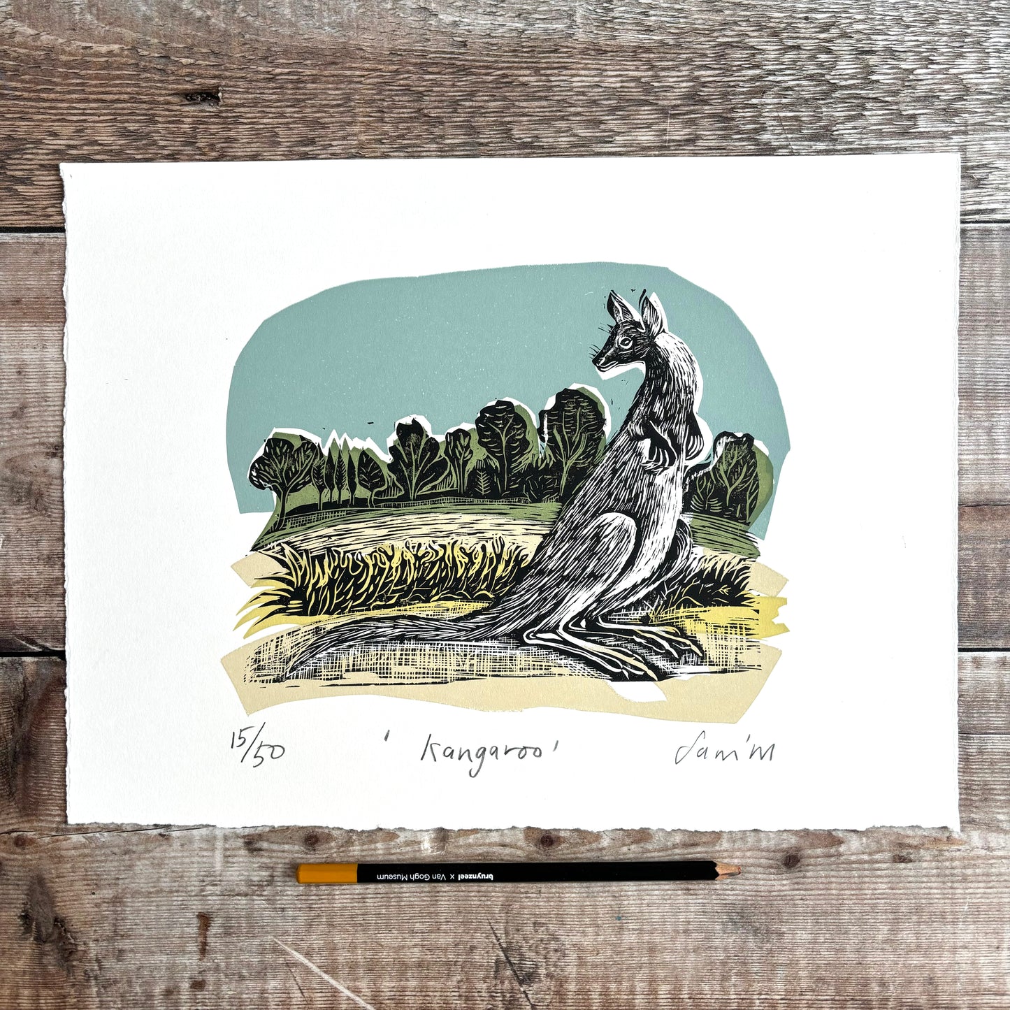 Kangaroo