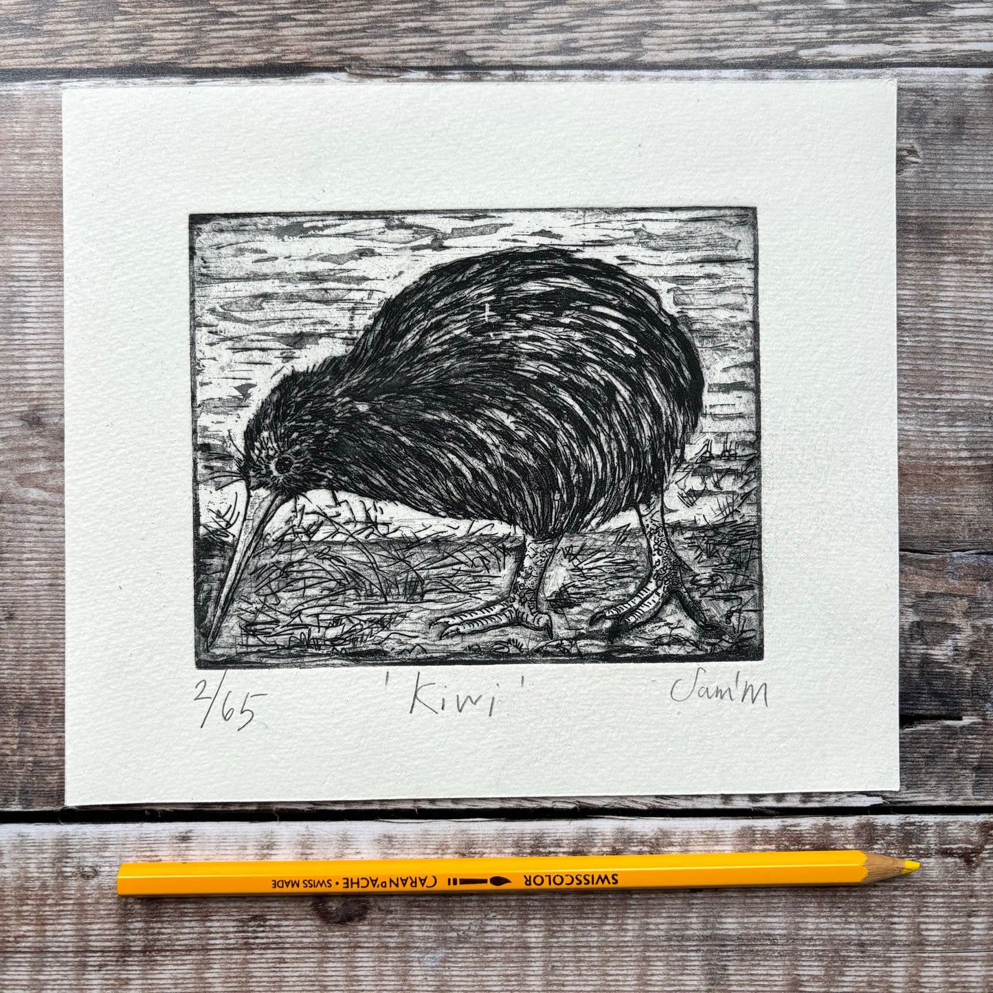 Kiwi bird