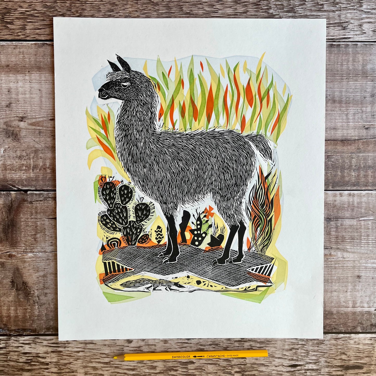 Llama