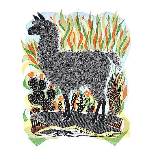 Llama