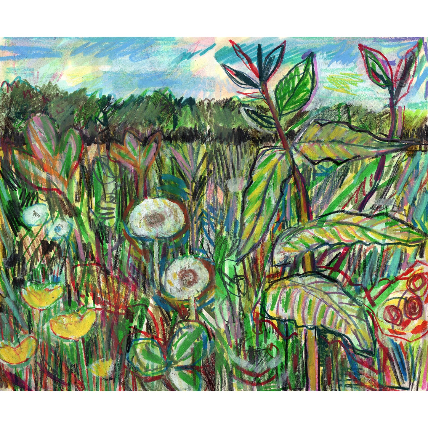Meadow in Pont Kemys , Wales - colour