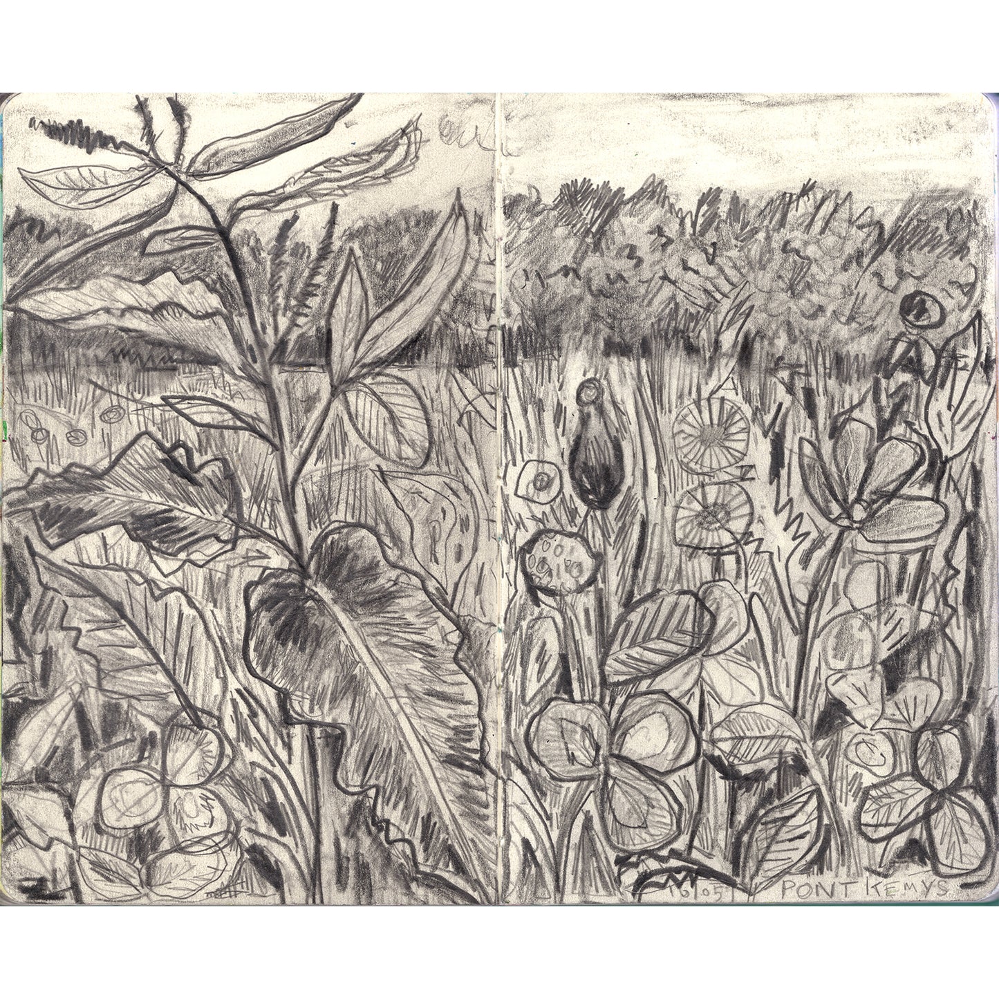 Meadow in Pont Kemys , Wales - pencll