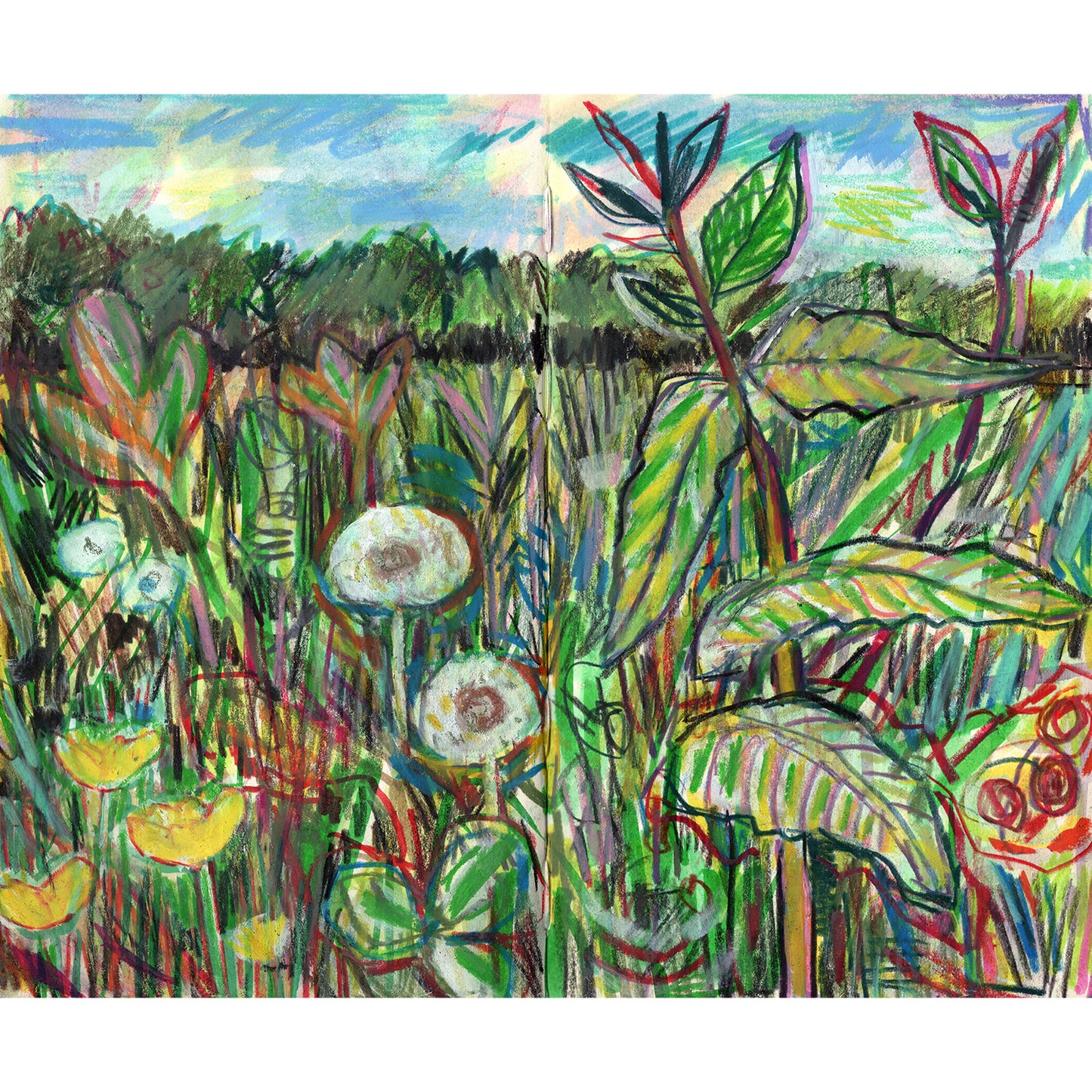 Meadow in Pont Kemys , Wales - colour
