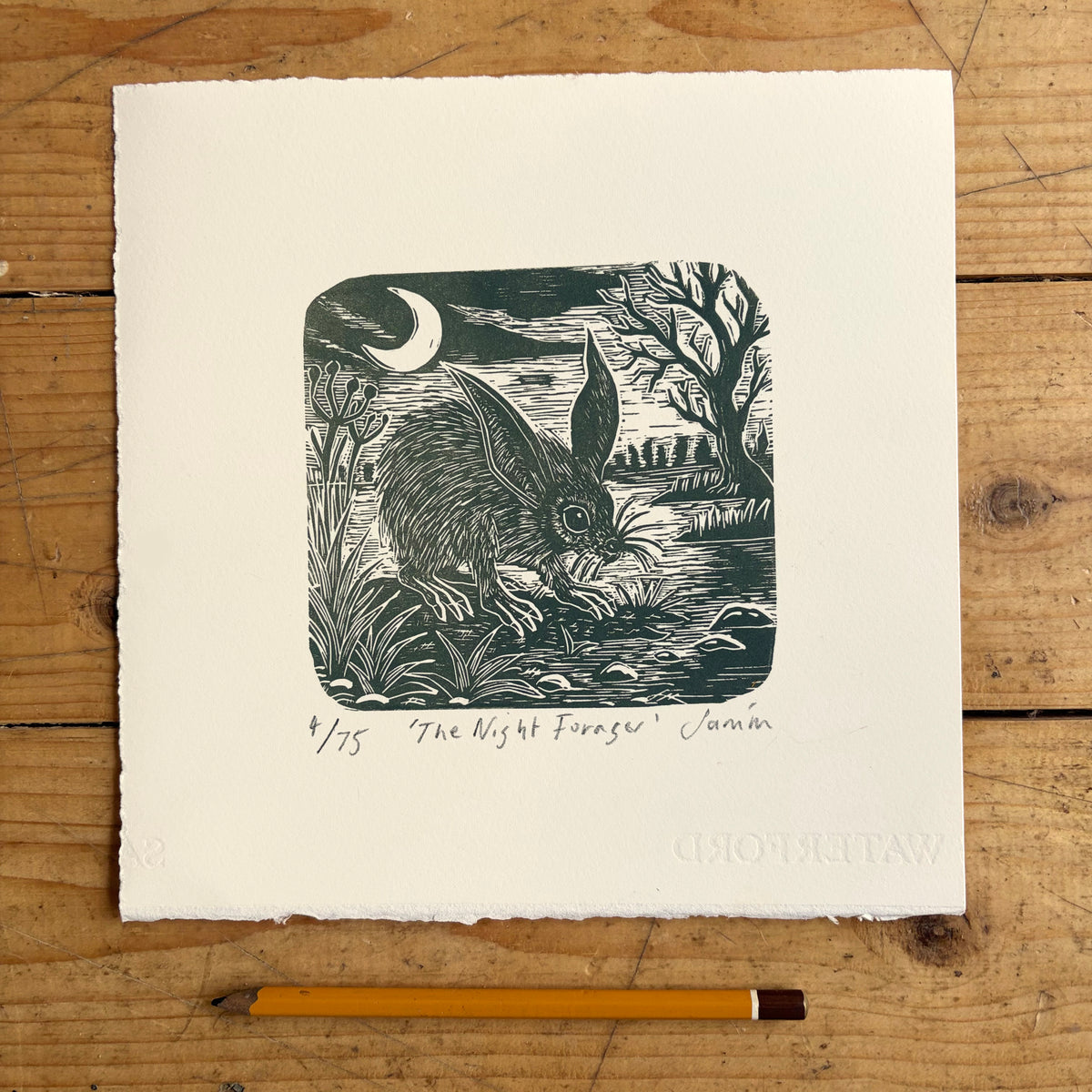 The Night Forager