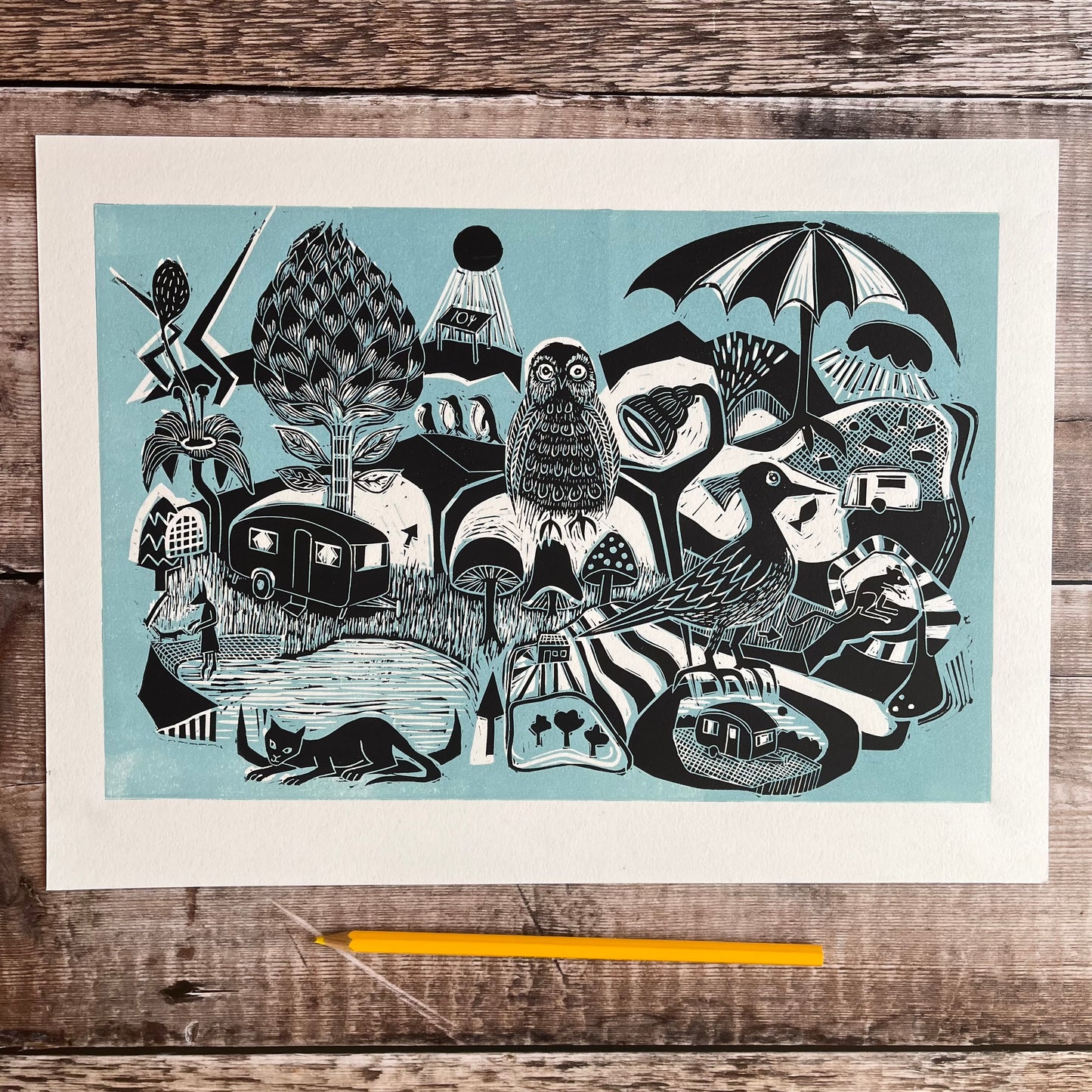 The Owl, the penguins and the vintage vans