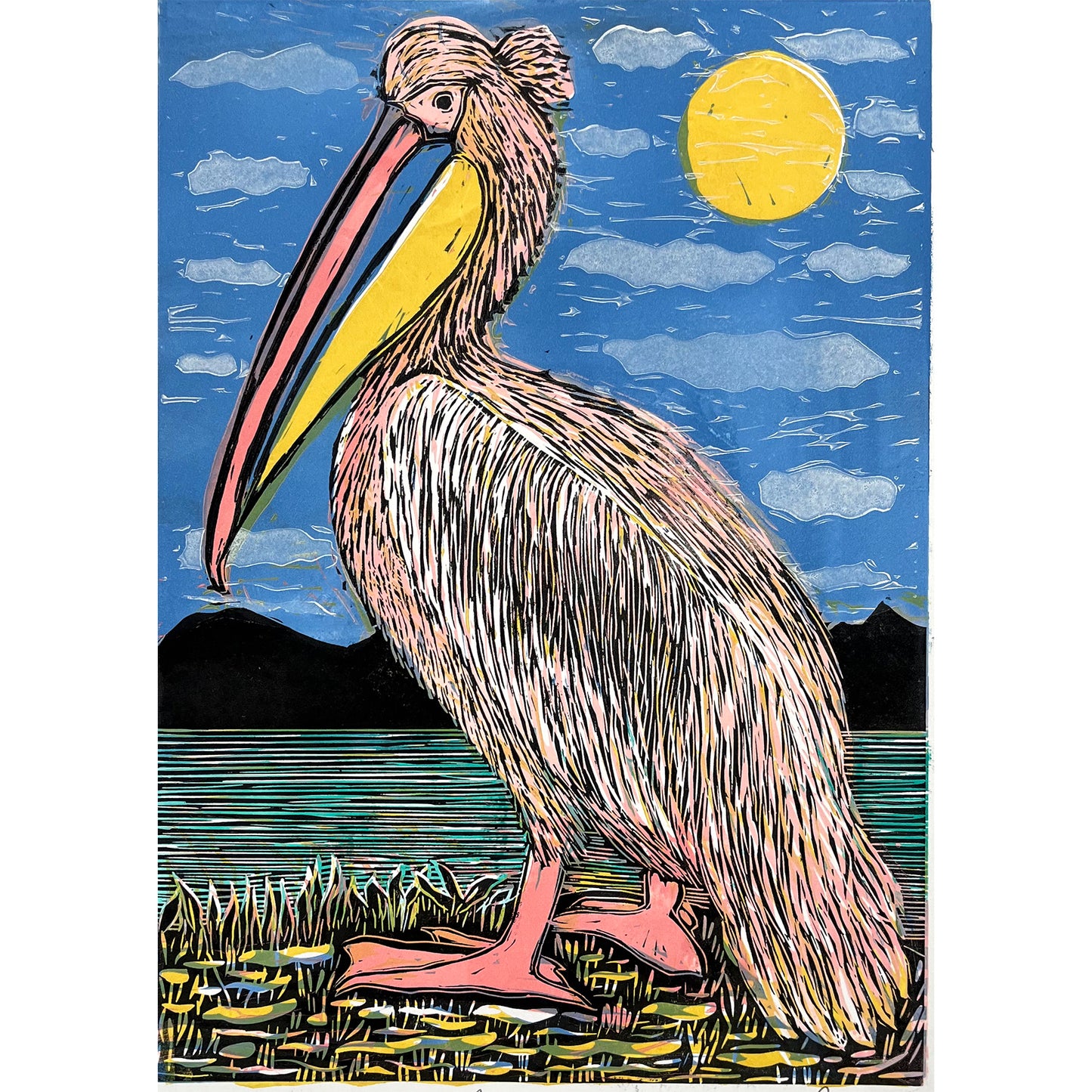 Pelican