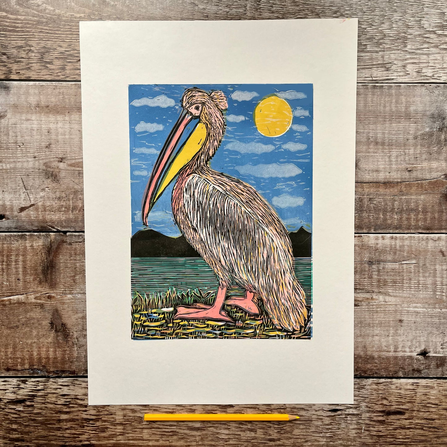 Pelican