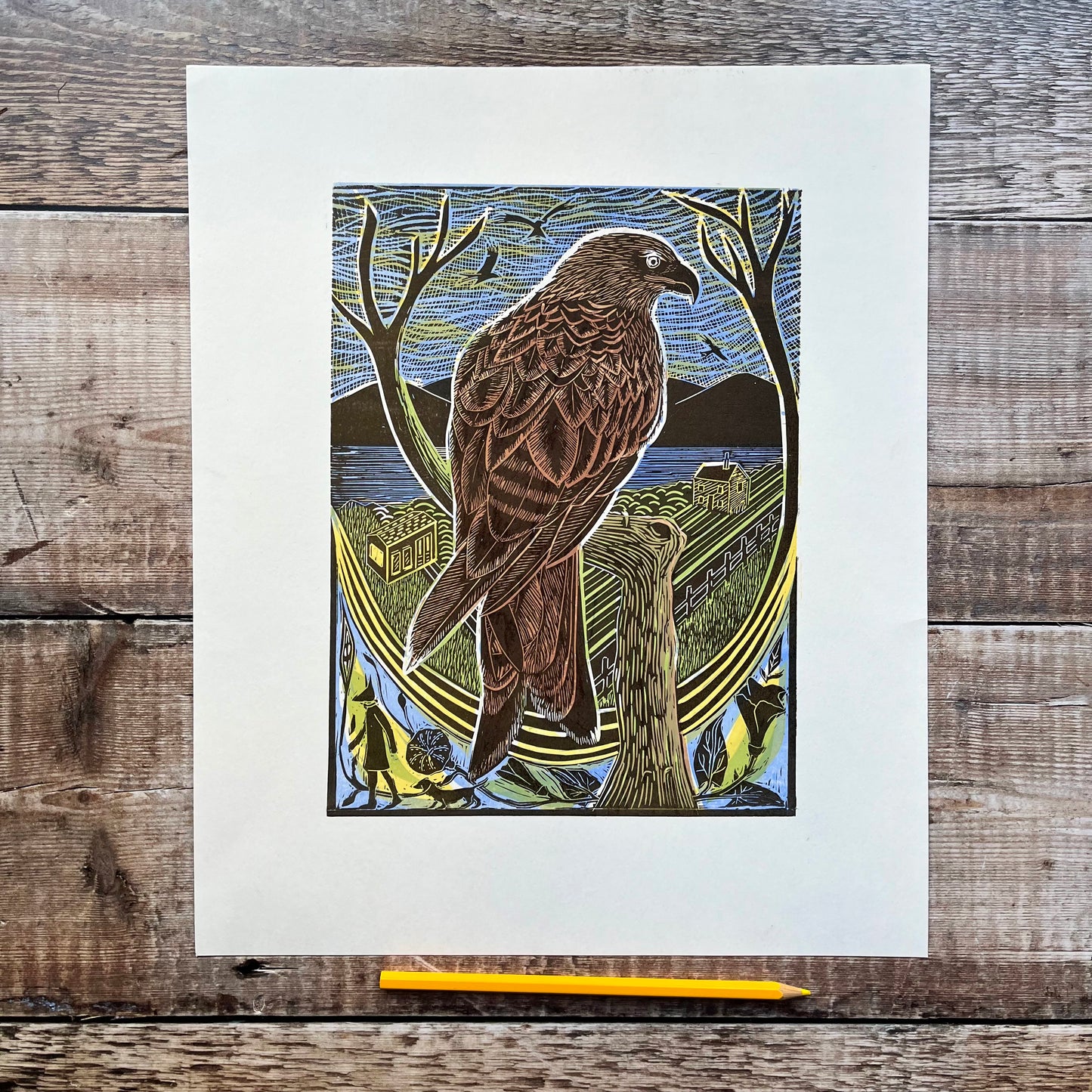 Red Kite