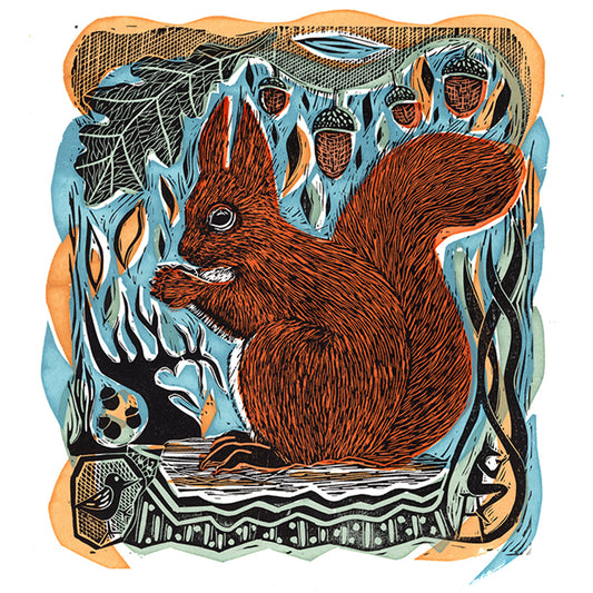 Red Squirrel