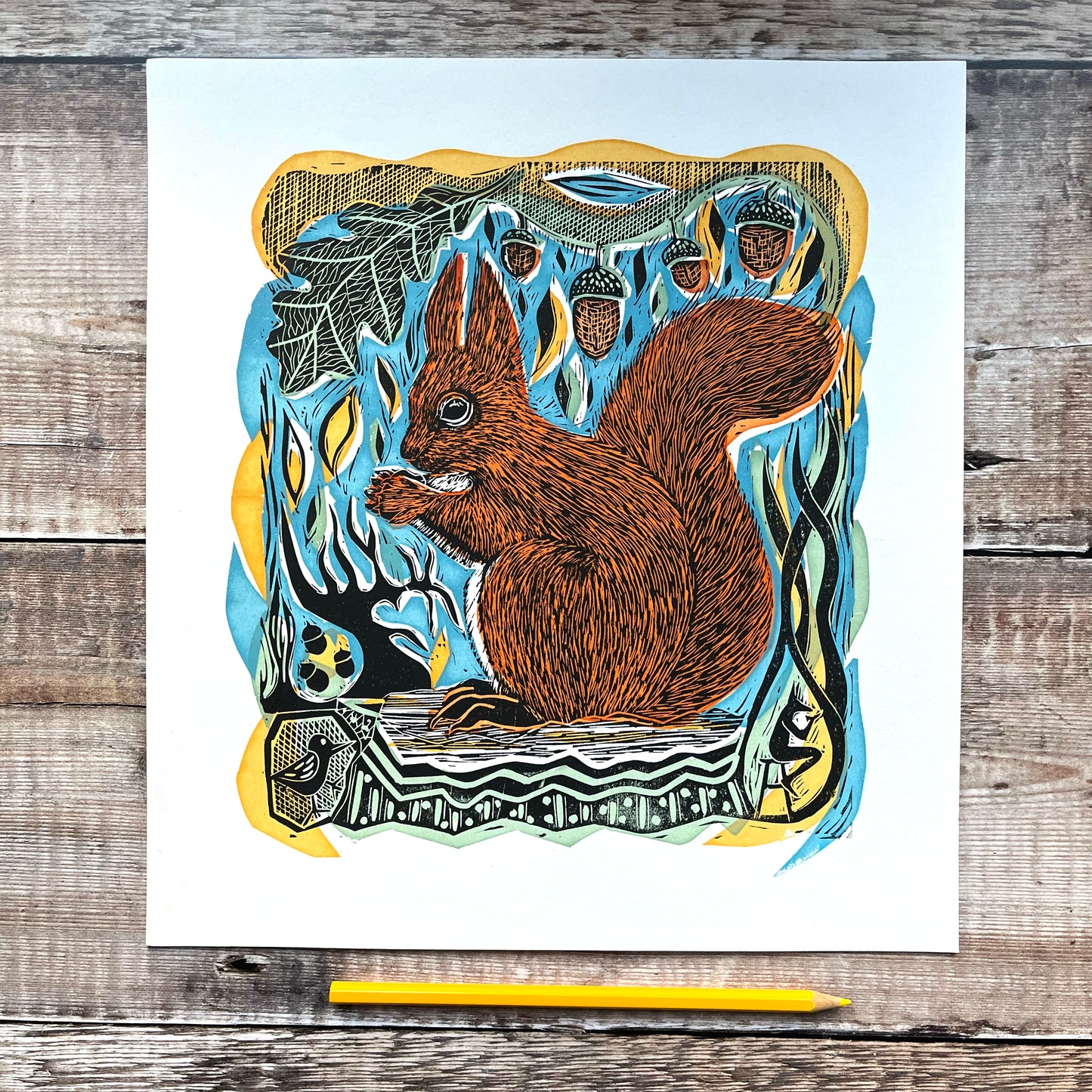Red Squirrel